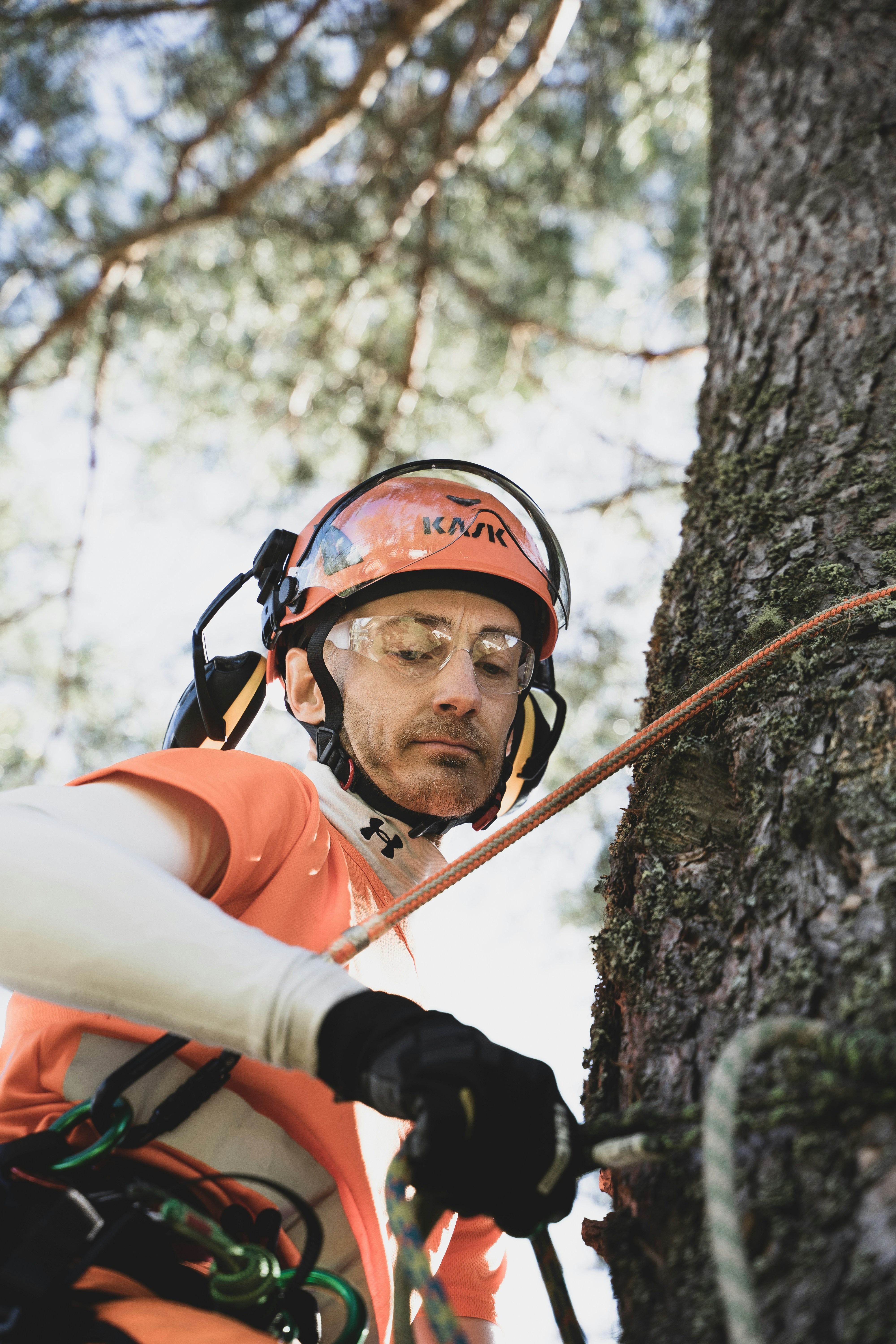 Tree Climbing