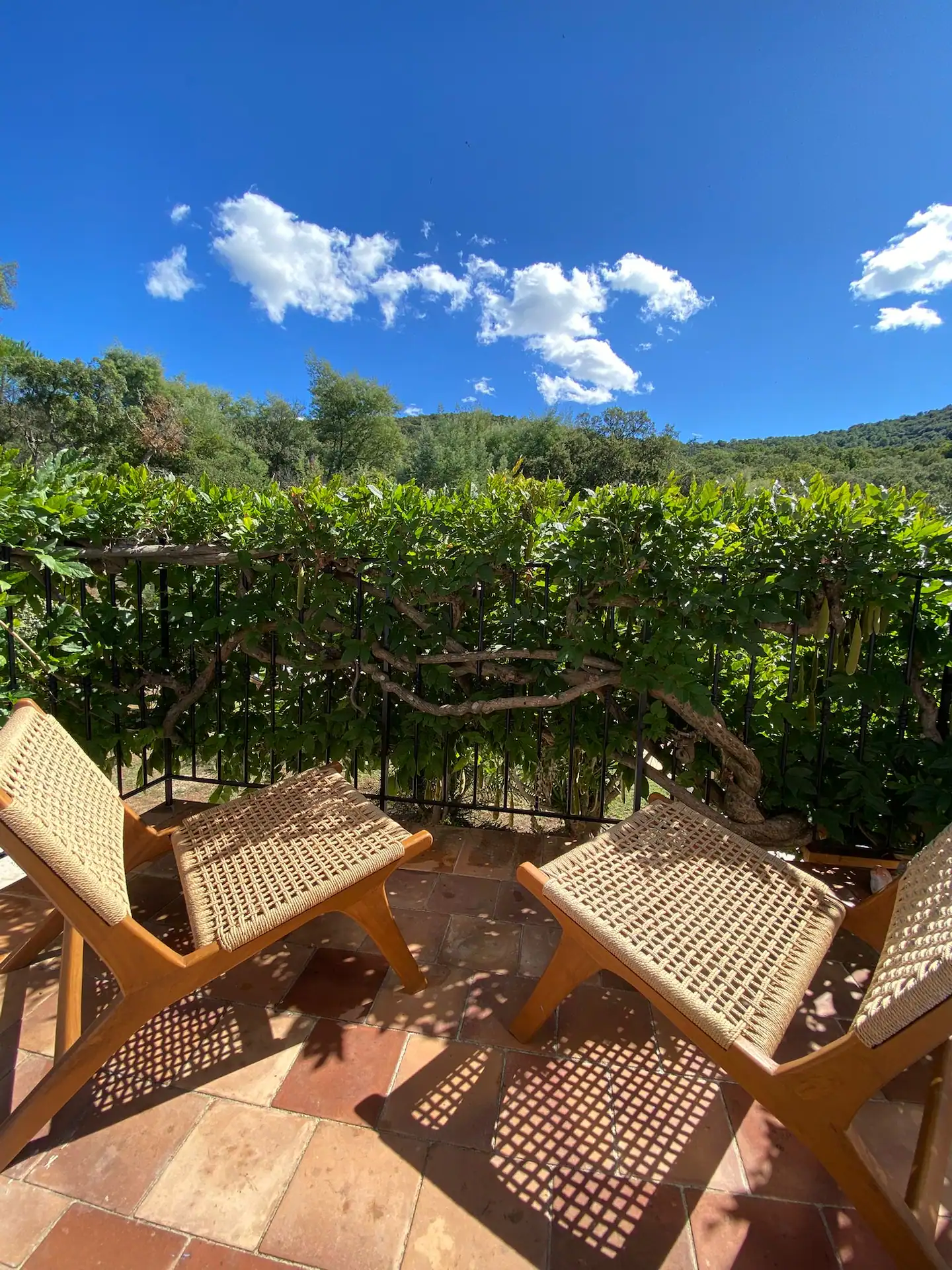 The best of the South of France, with complete peace and privacy
